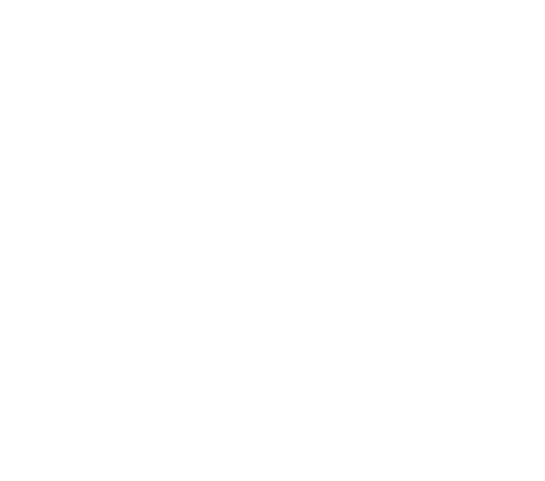 Allure Health Services Logo